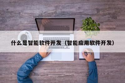 什么是智能软件开发(智能应用软件开发)